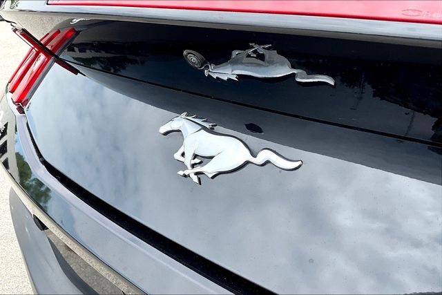 2024 Ford Mustang EcoBoost Premium photo 9