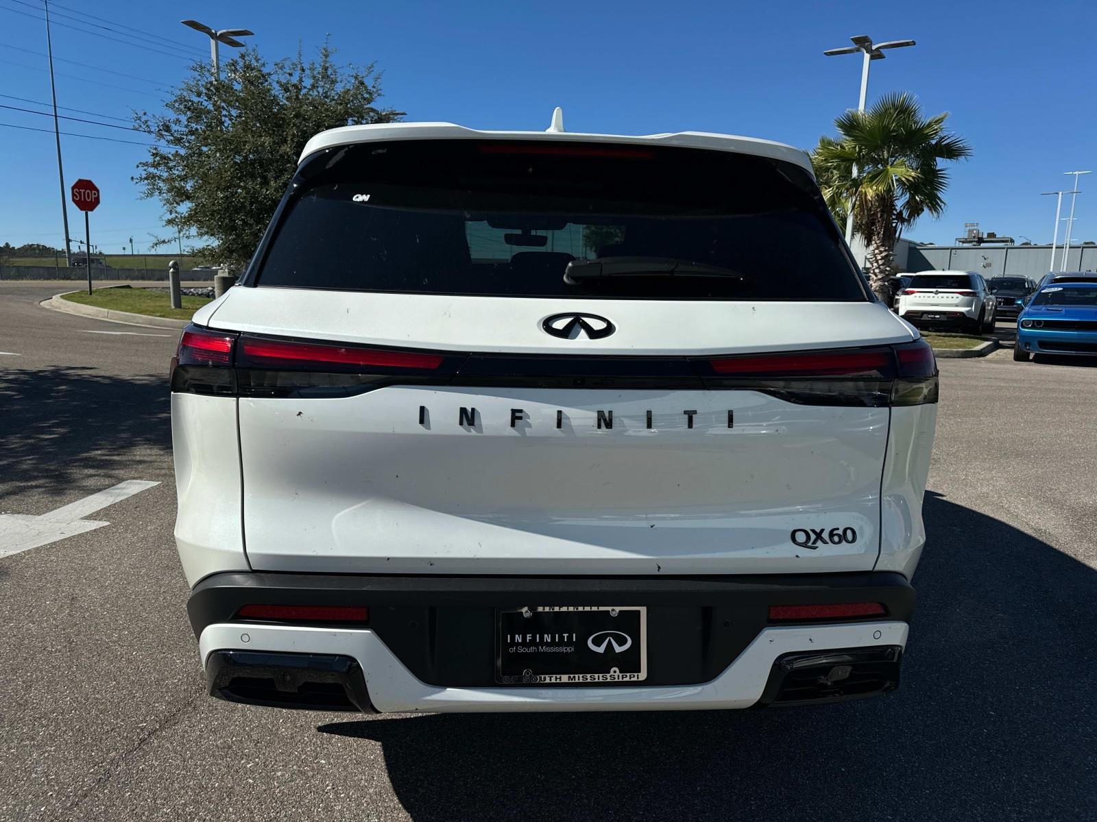 2025 Infiniti QX60 Luxe photo 5