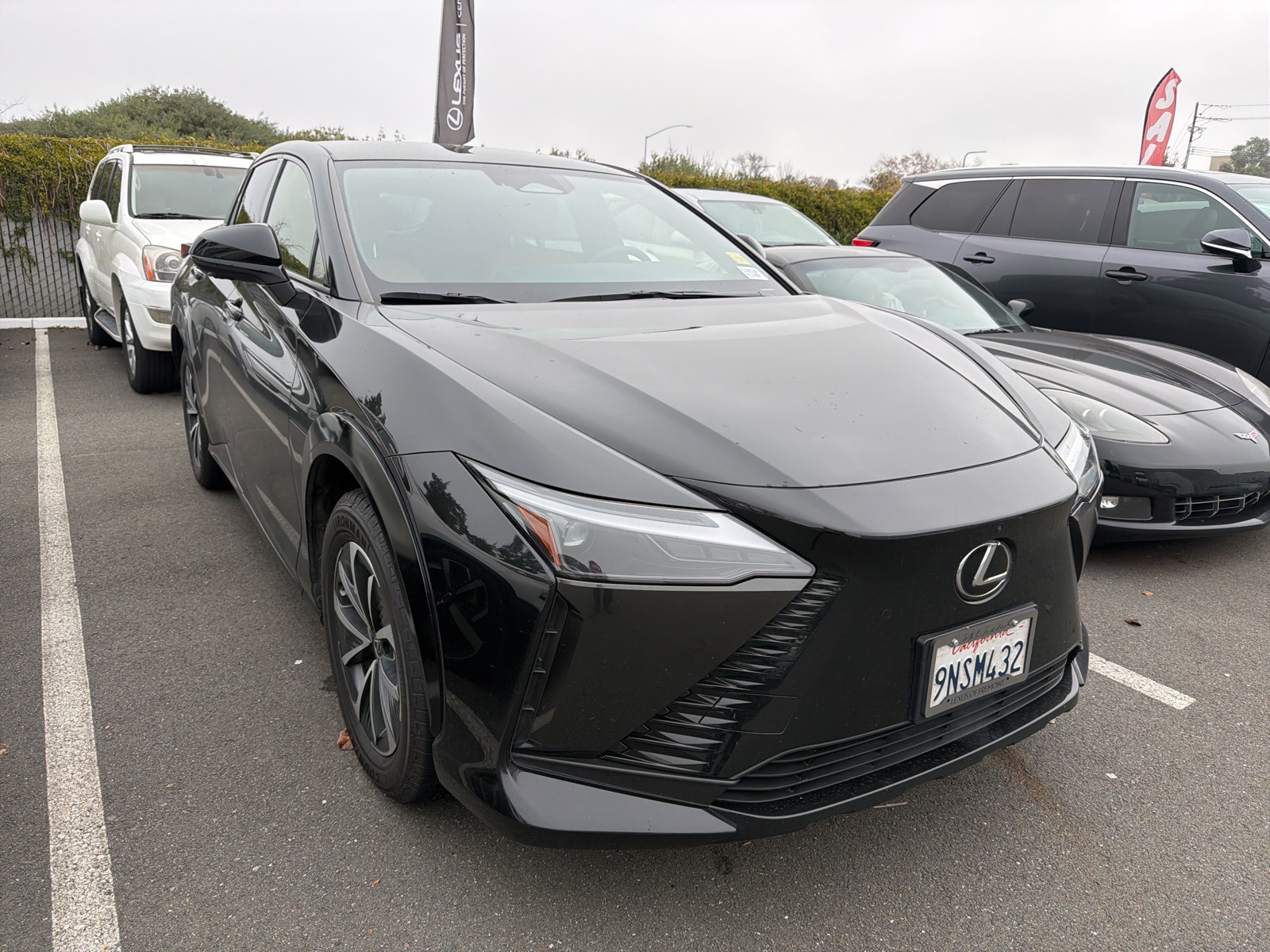 2024 Lexus RZ Premium's photo