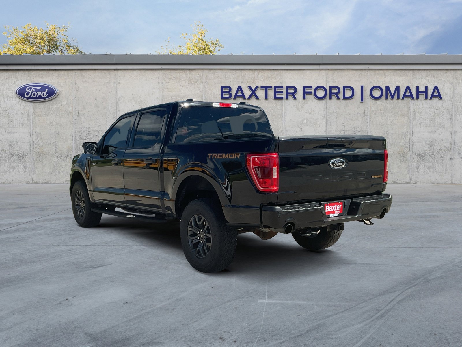2021 Ford F-150 Tremor photo 5