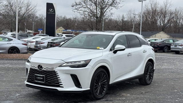 2025 Lexus RX 350's photo