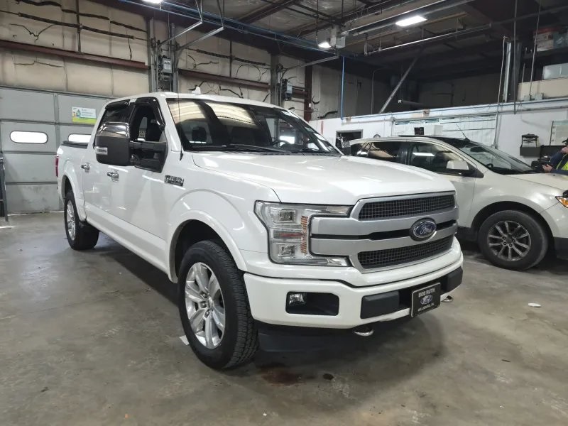 2019 Ford F-150 Platinum's photo