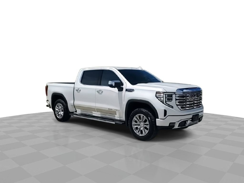 2022 Gmc Sierra 1500 Denali photo 2