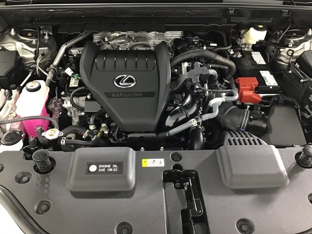 2025 Lexus NX 350 photo 15