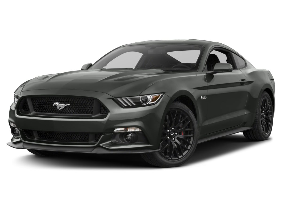 2015 Ford Mustang GT's photo