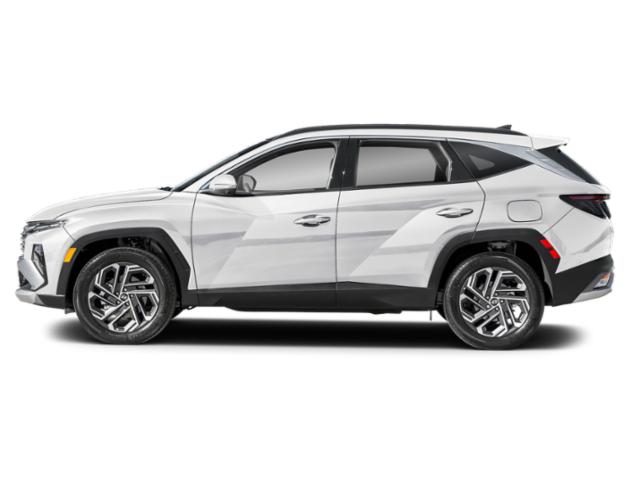 2025 Hyundai Tucson Hybrid Limited photo 3