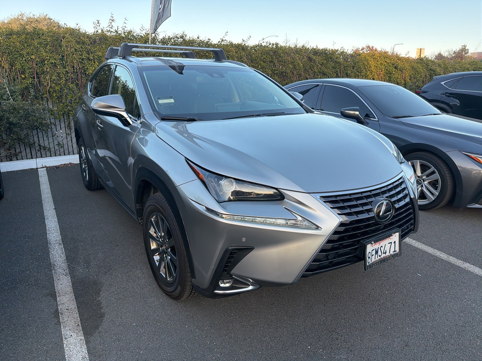 2019 Lexus NX 300's photo