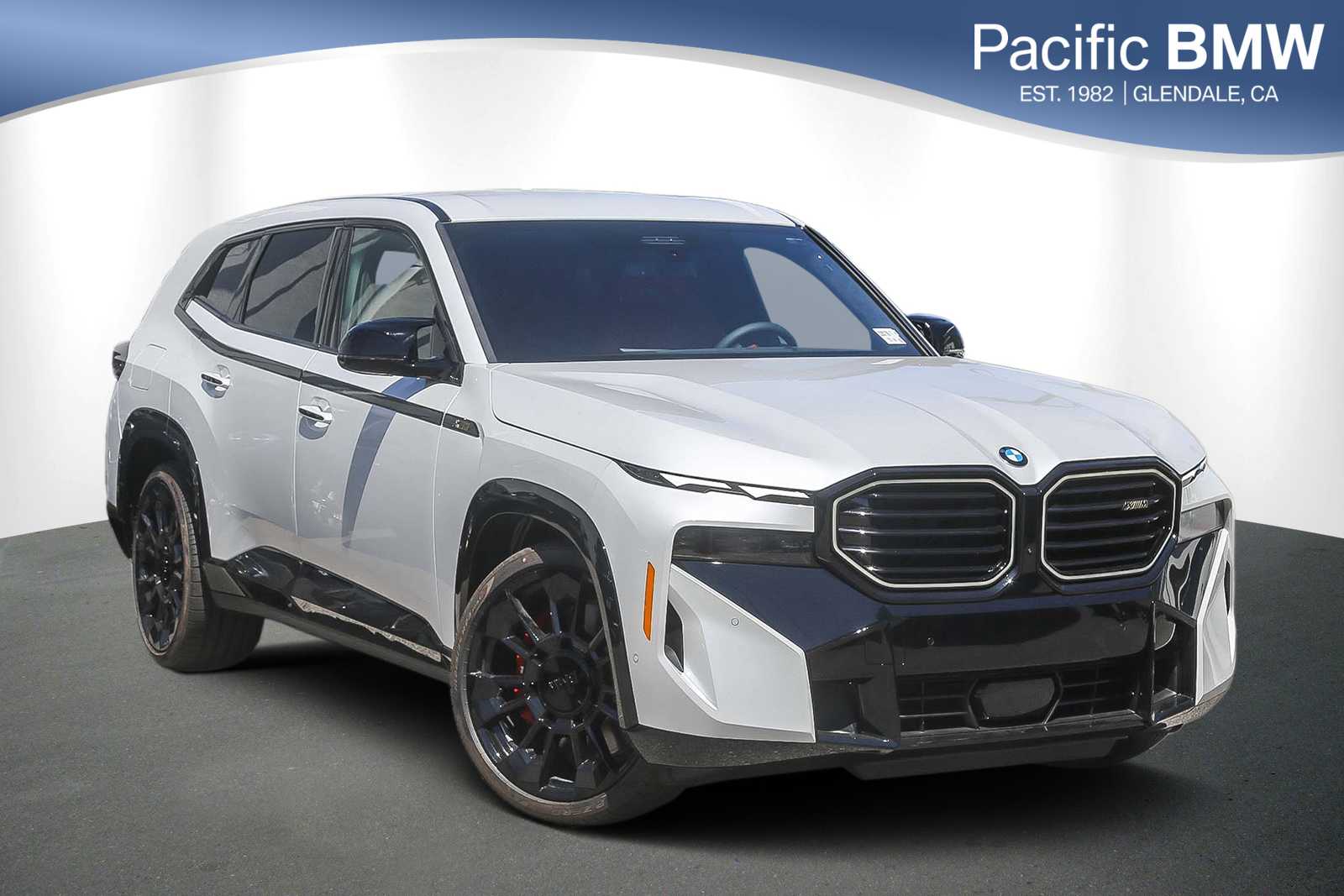 2025 BMW XM 