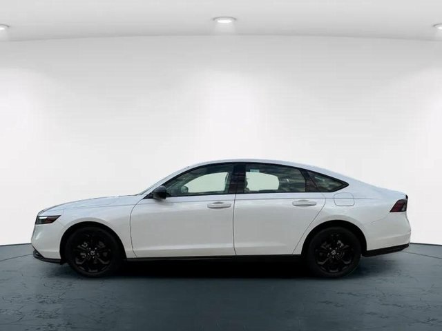 2025 Honda Accord 1.5T SE photo 3