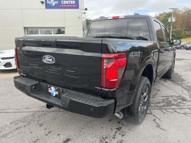 2025 Ford F-150 STX photo 3