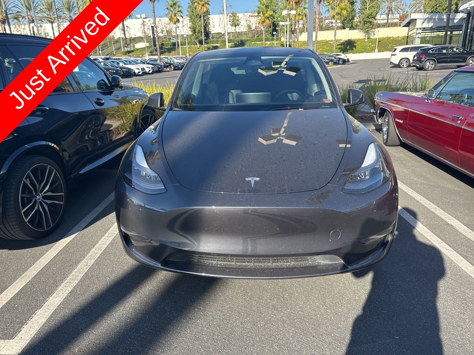 Used 2024 Tesla Model Y Long Range with VIN 7SAYGDED4RF162491 for sale in Kansas City
