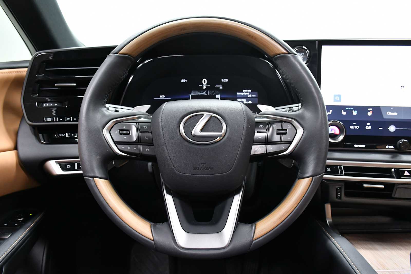 2025 Lexus RX 350 Premium photo 15