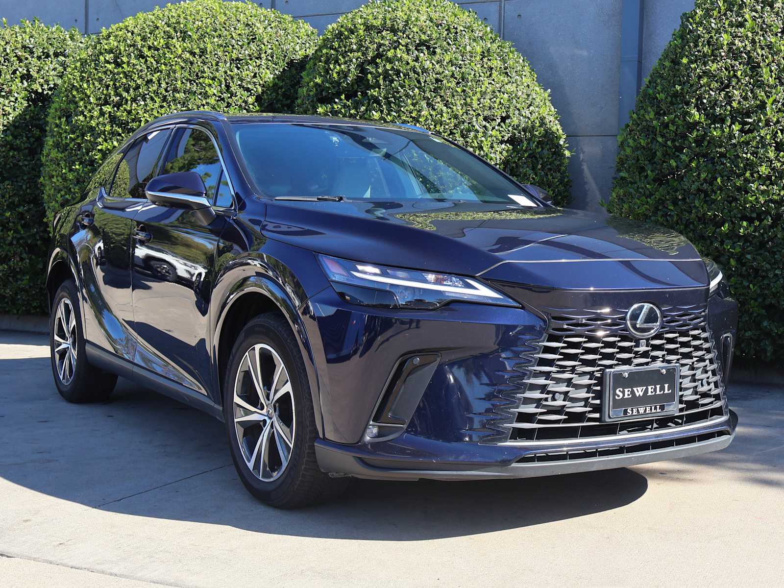 2023 Lexus RX Premium photo 3
