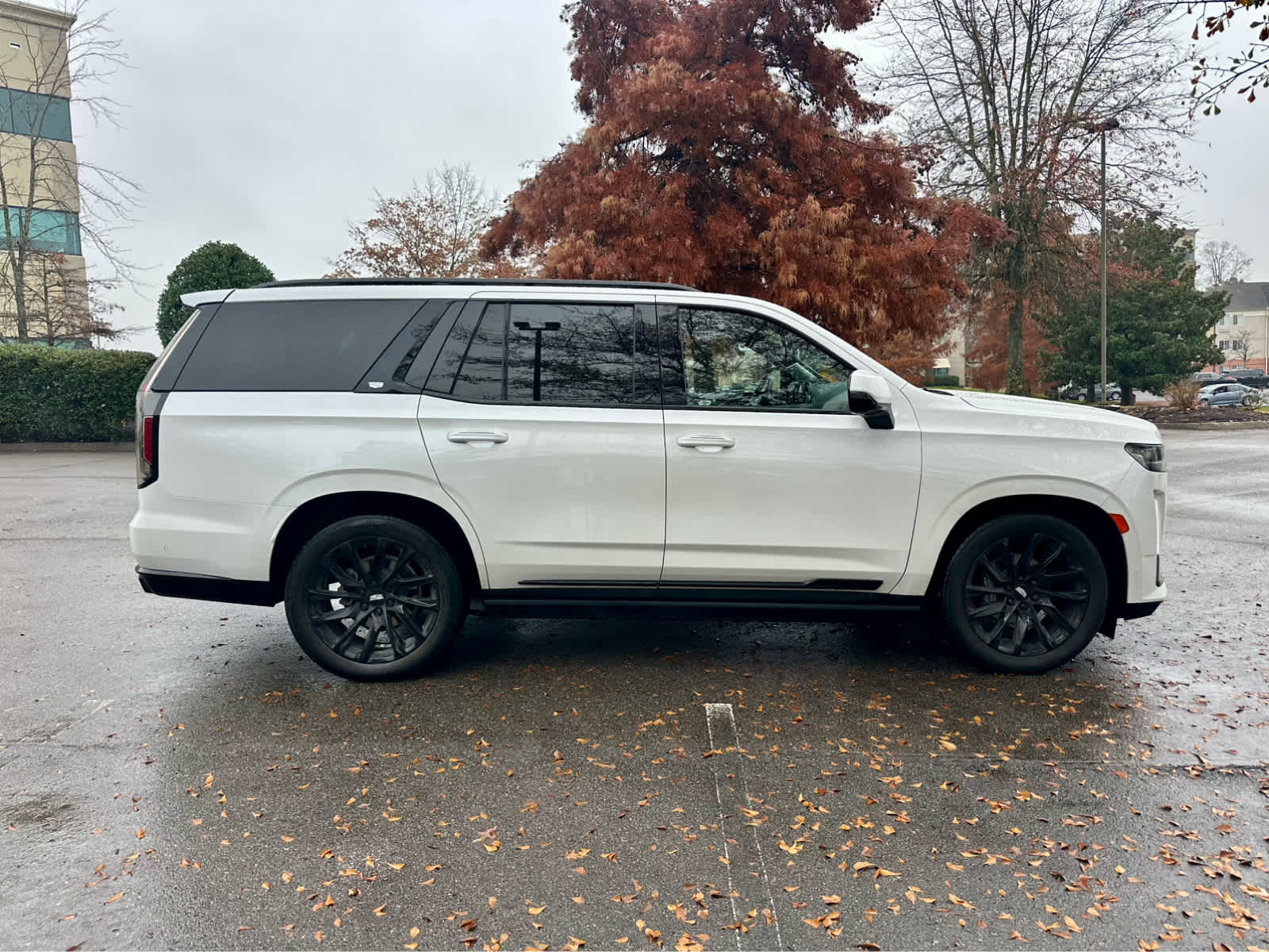 2023 Cadillac Escalade Sport Platinum photo 4