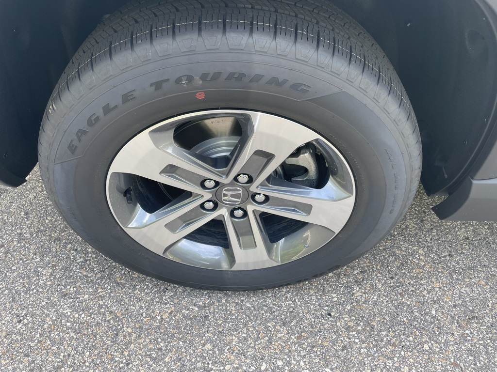 2025 Honda Pilot EX-L photo 4