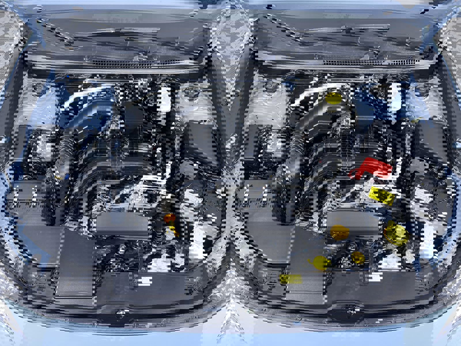 View 25