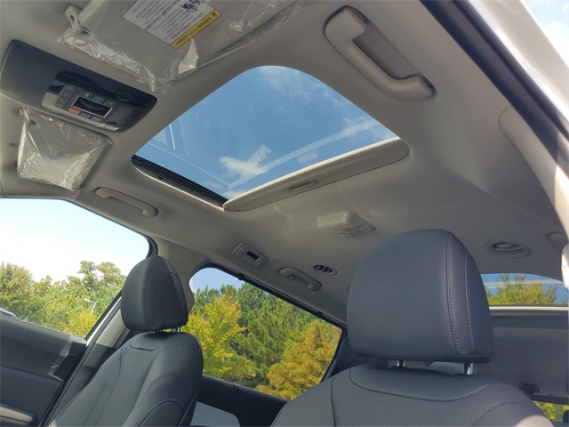 2026 Kia Carnival SX Prestige photo 15