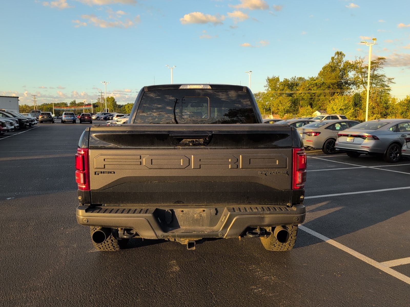 2017 Ford F-150 Raptor photo 4