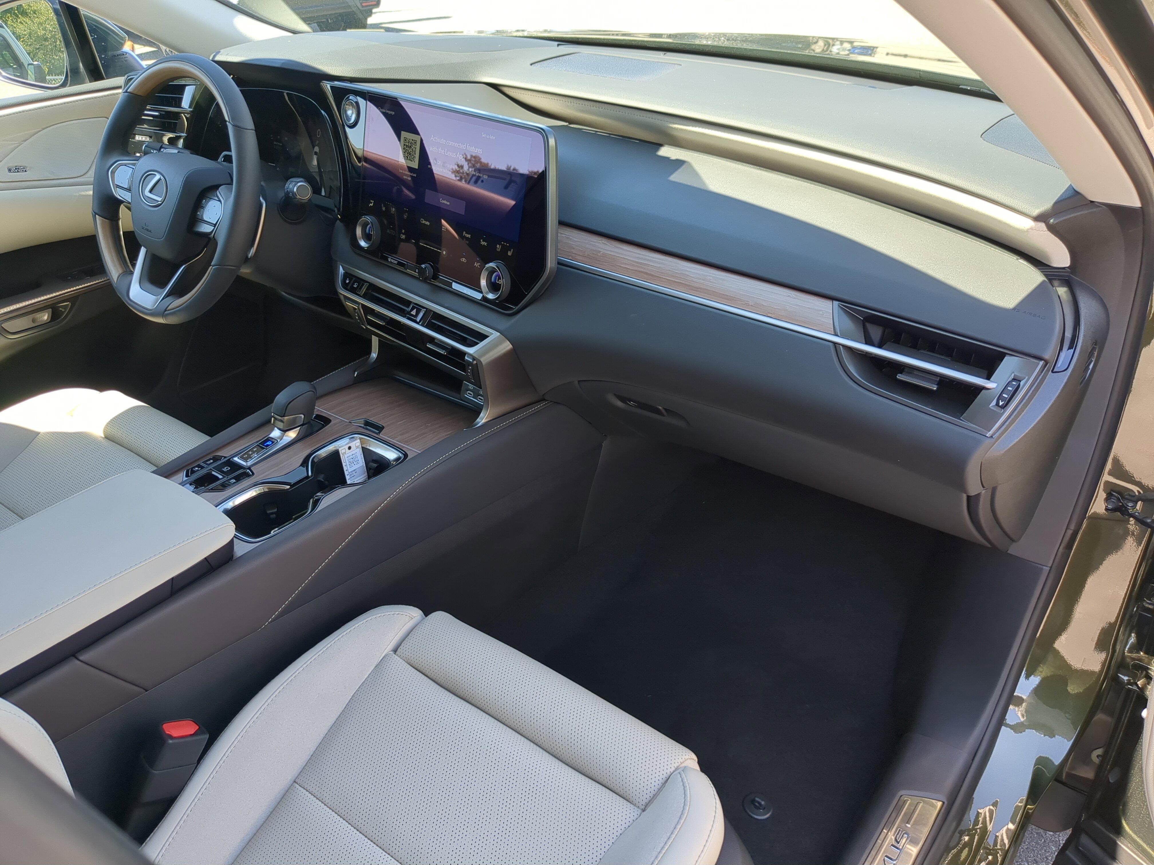 2025 Lexus RX 350h Luxury photo 9