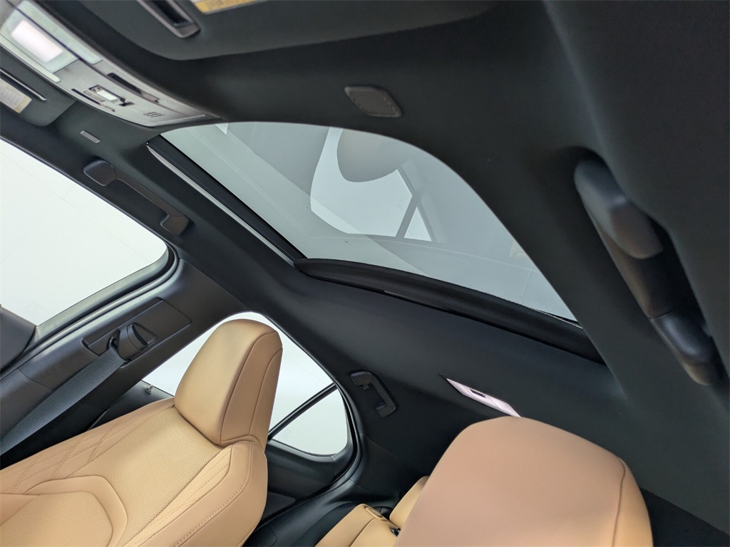 2025 Lexus UX photo 12