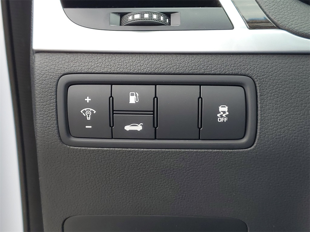 2015 Hyundai Genesis 3.8 photo 12