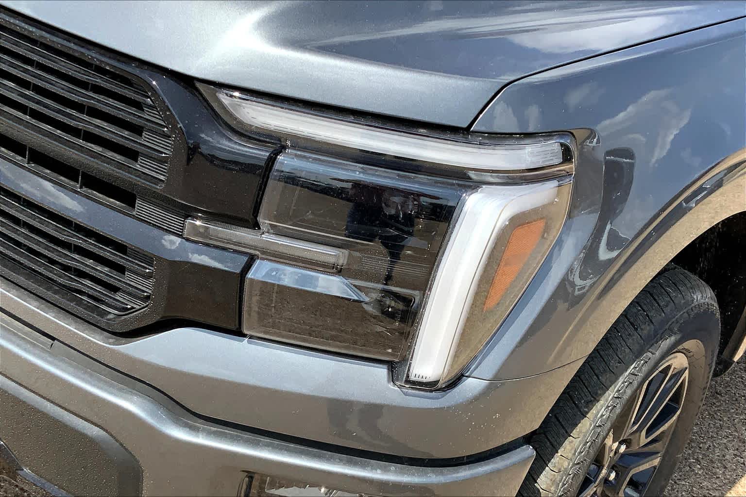 2025 Ford F-150 Platinum photo 12
