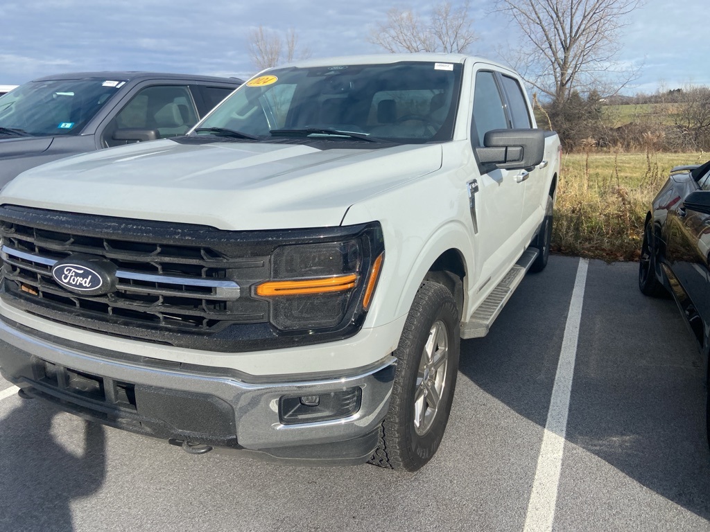 2024 Ford F-150 XLT photo 3