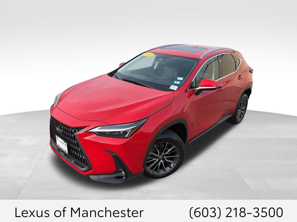 2022 Lexus NX 250's photo