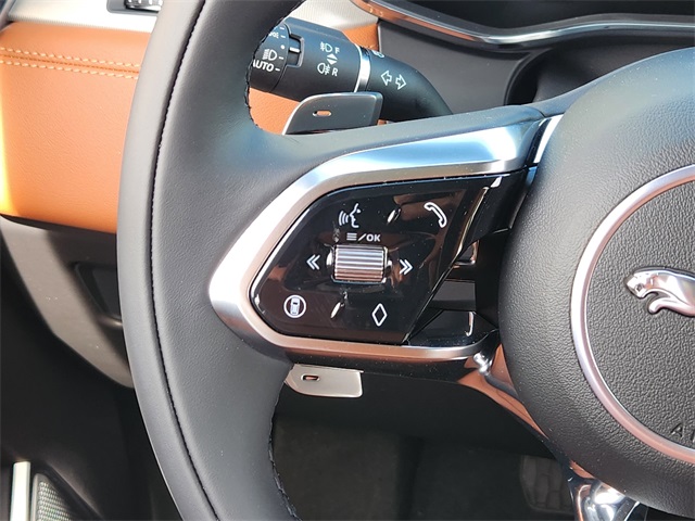 2026 Jaguar F-PACE P250 R-Dynamic S photo 24