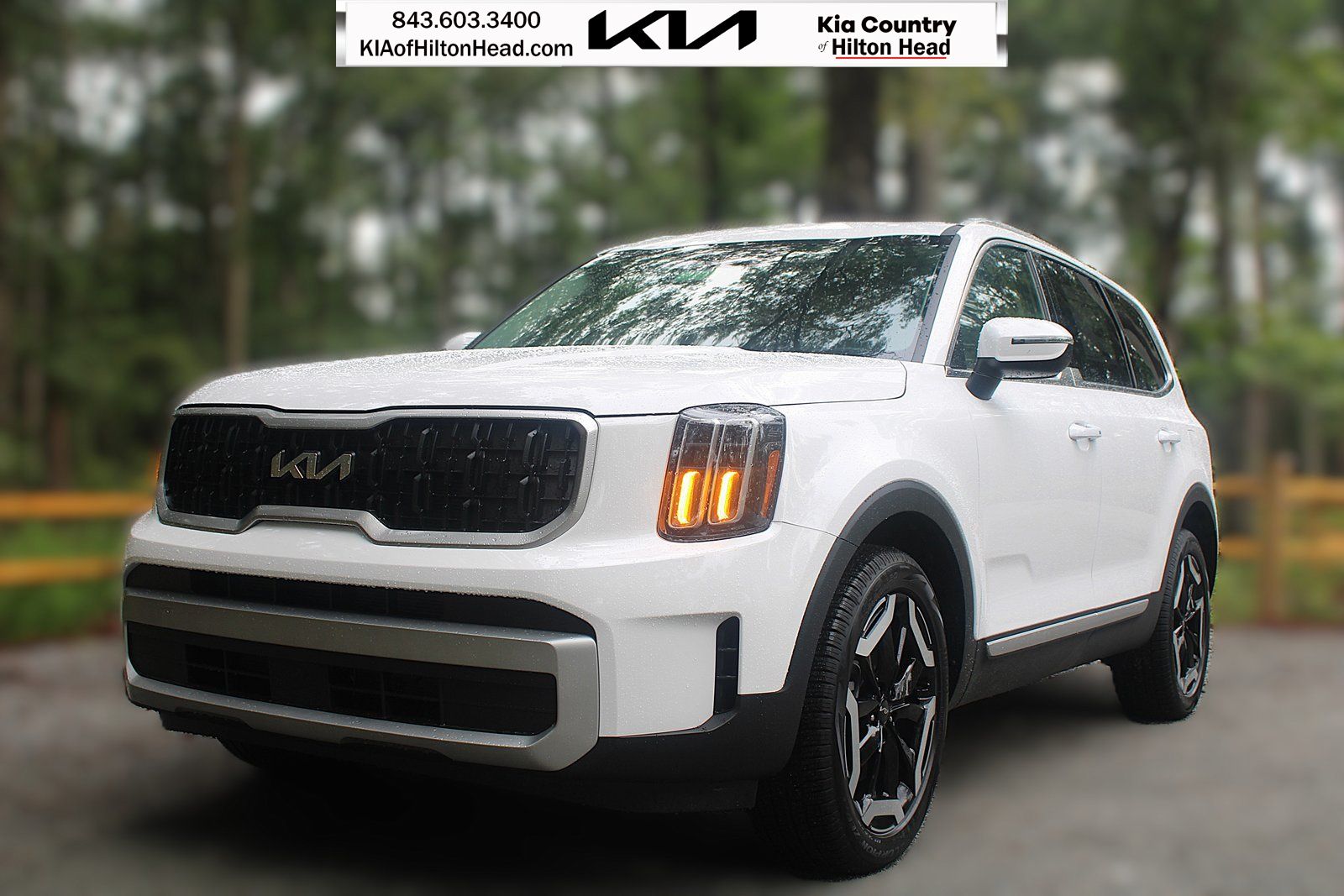 2025 Kia Telluride EX's photo