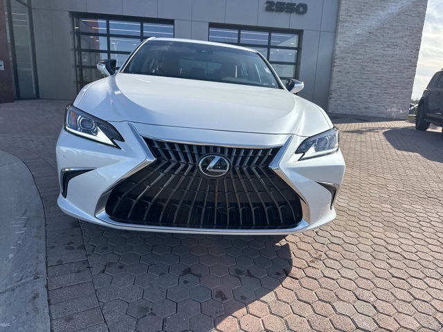 2025 Lexus ES Luxury photo 3