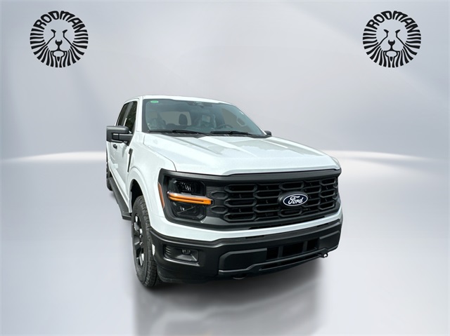 2025 Ford F-150 STX photo 3