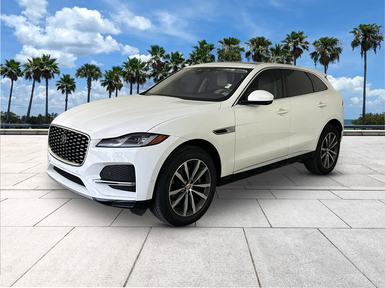 2021 Jaguar F-PACE P250 S photo 4