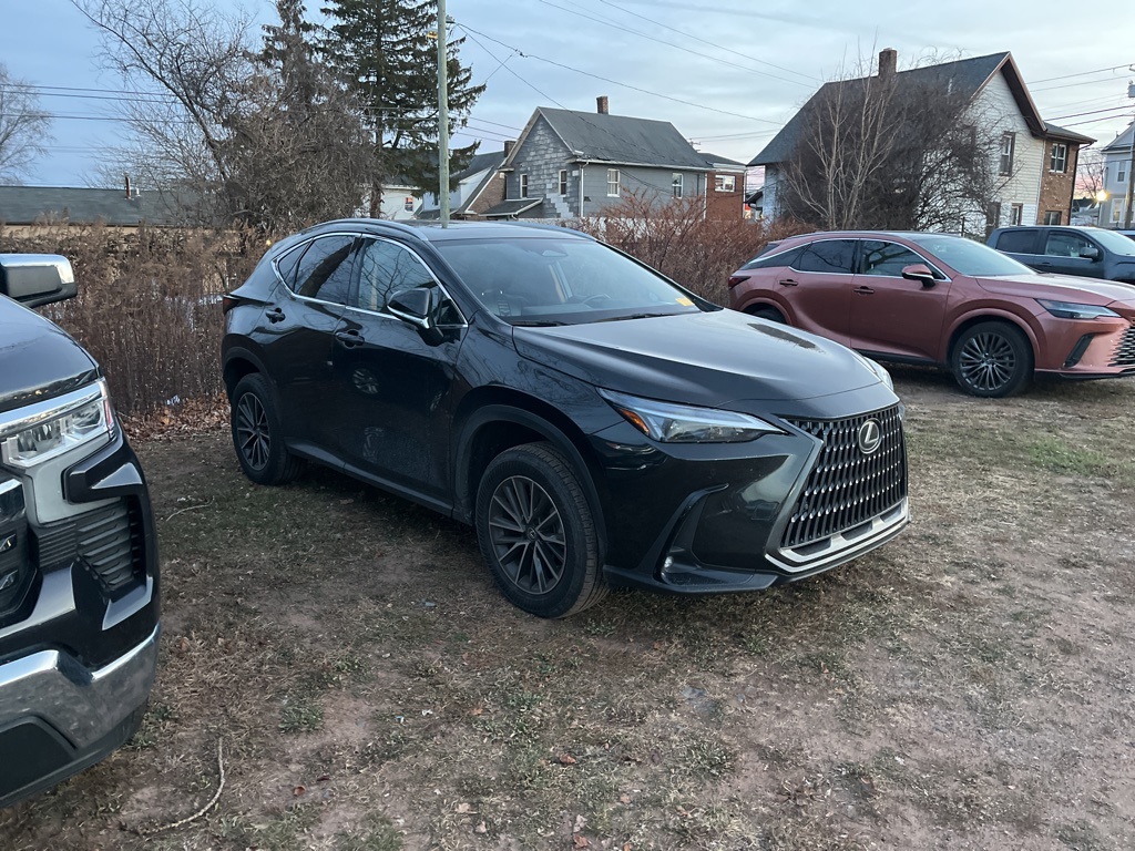 2024 Lexus NX 350's photo