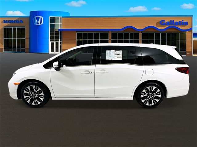 2026 Honda Odyssey Elite photo 2