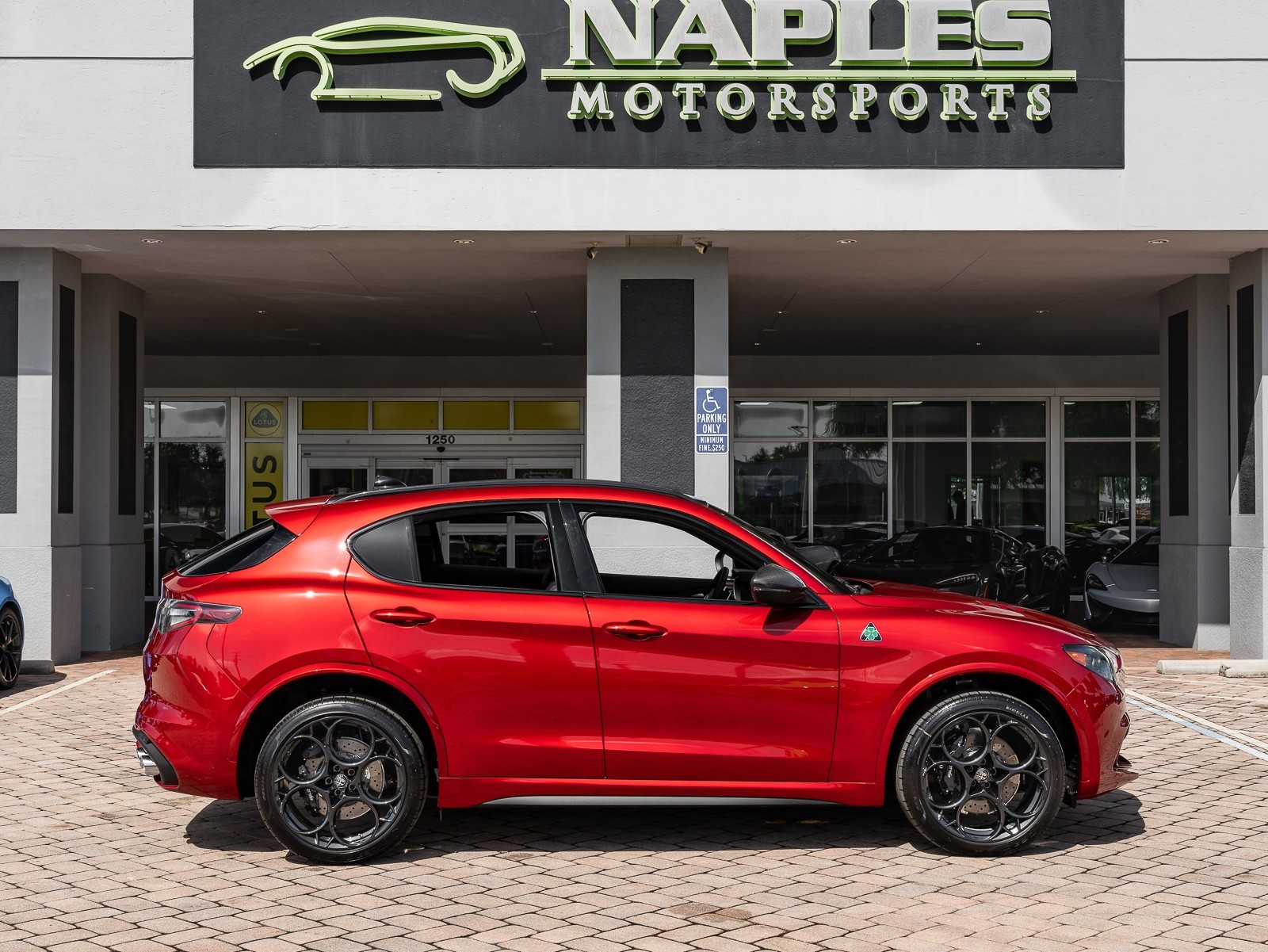 2024 Alfa Romeo Stelvio Quadrifoglio photo 19