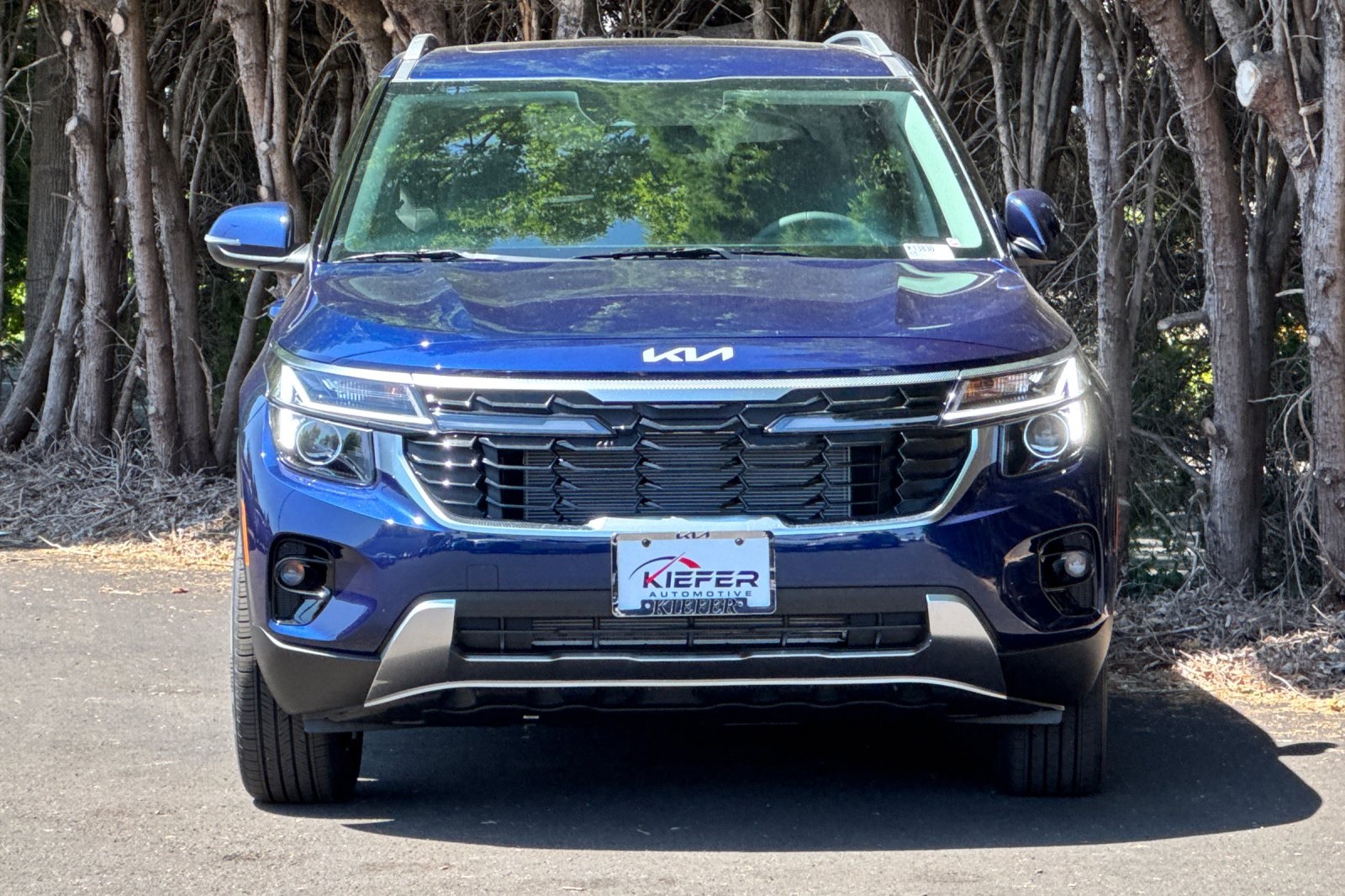 2026 Kia Seltos EX photo 5