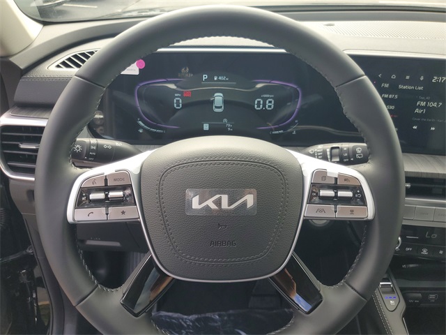 2025 Kia Telluride X-Line EX X-Pro photo 17