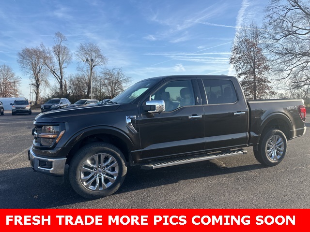 2024 Ford F-150 XLT's photo