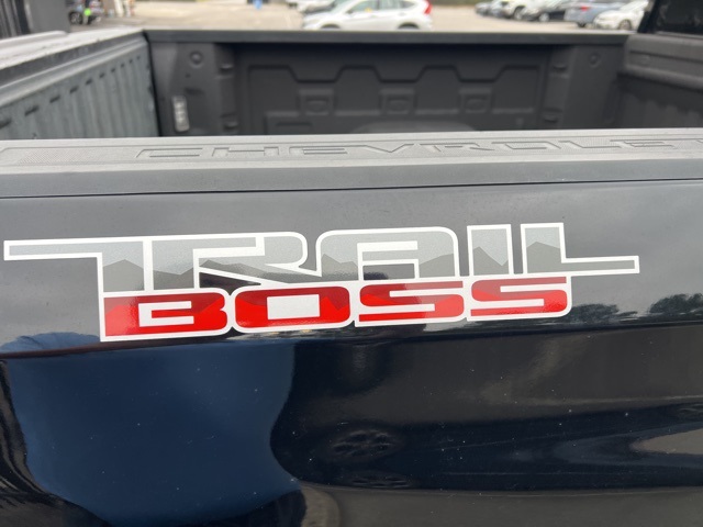 2019 Chevrolet Silverado 1500 Custom Trail Boss photo 4