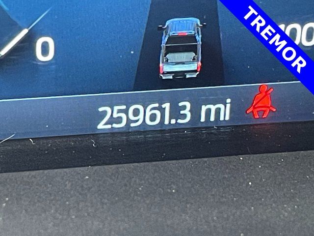 2025 Ford F-350 photo 4