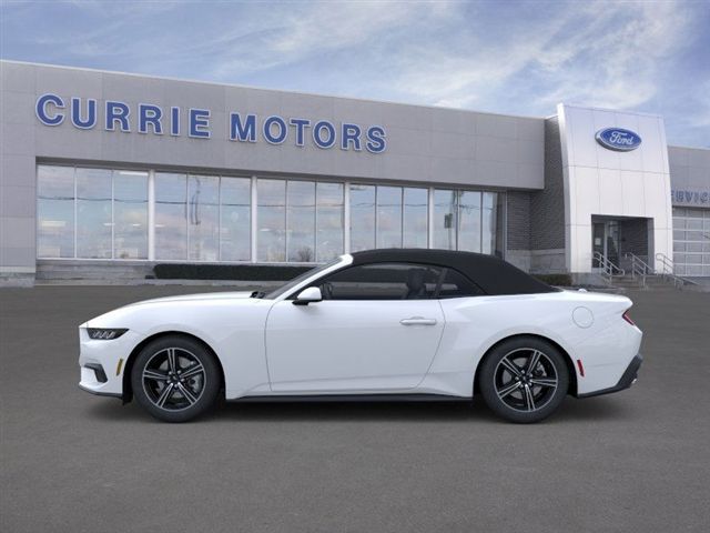 2025 FORD MUSTANG - Image 25