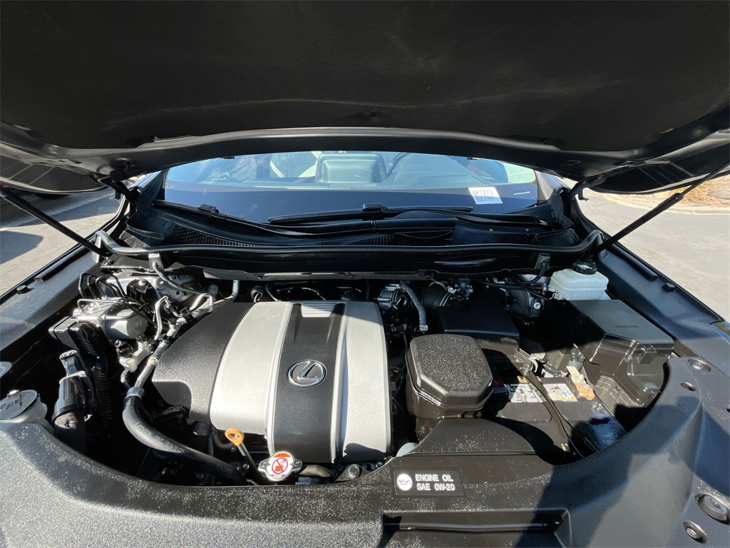 2022 Lexus RX 350 photo 28