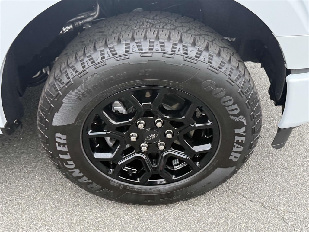 2025 Ford F-150 XLT photo 10