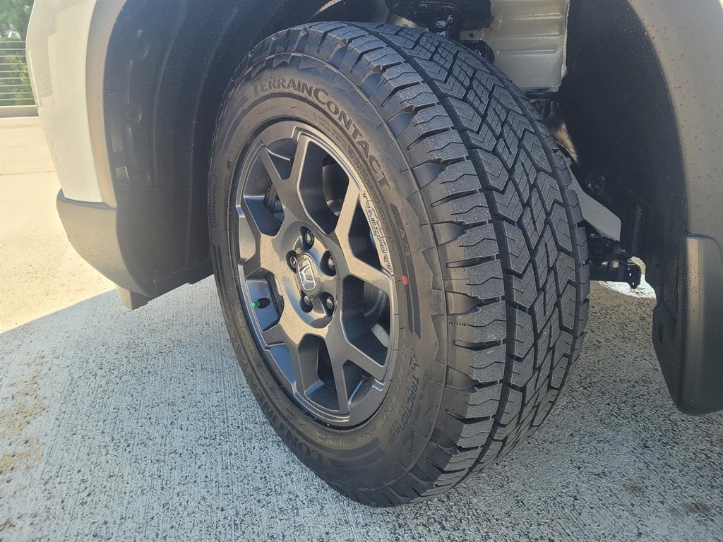 2025 Honda Pilot TrailSport photo 5
