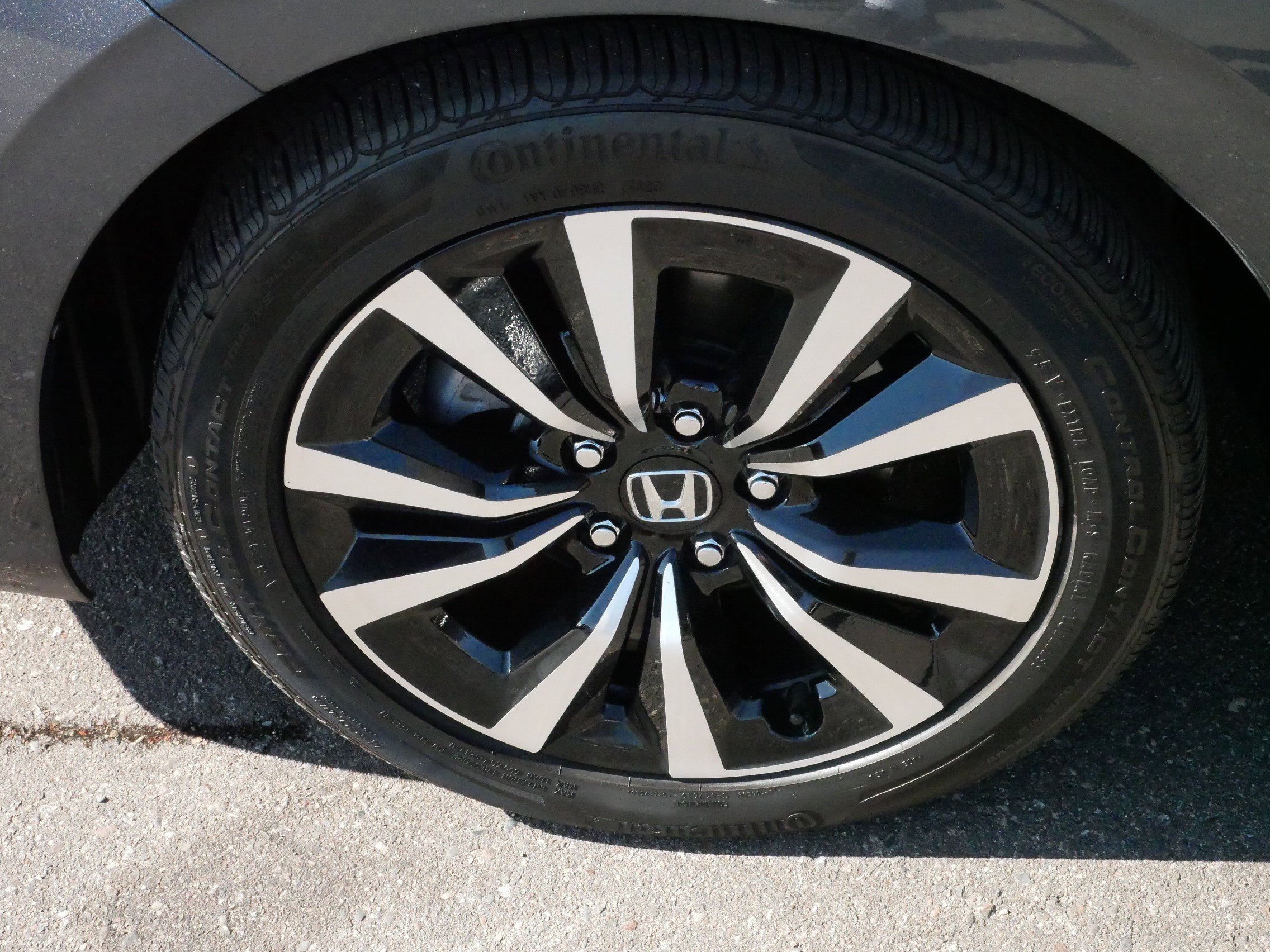 2022 Honda Civic Hatchback EX-L photo 14