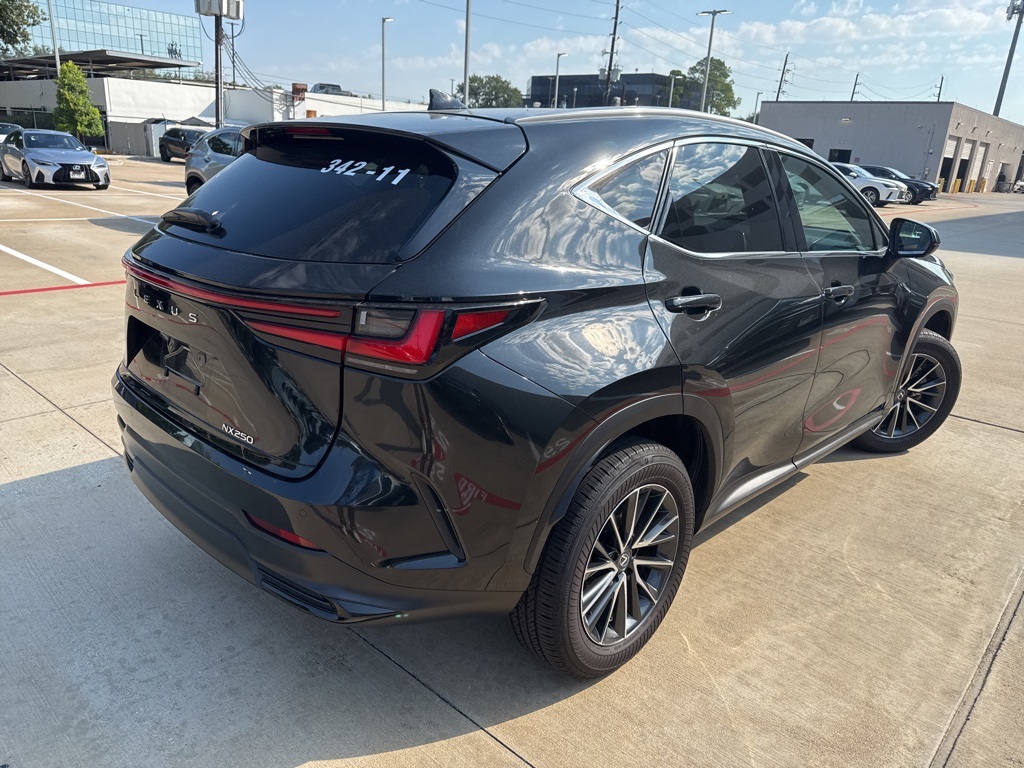 2025 Lexus NX 250 Premium photo 2