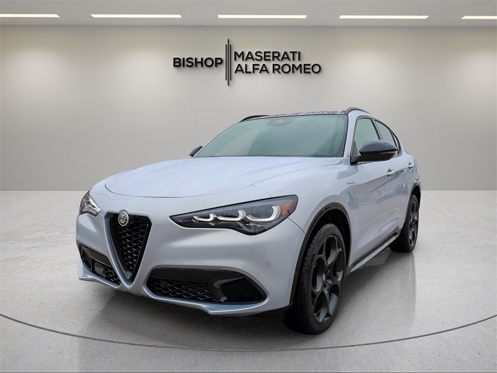 2025 Alfa Romeo Stelvio Base photo 3