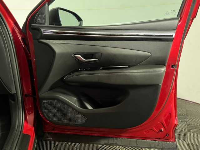 View 31