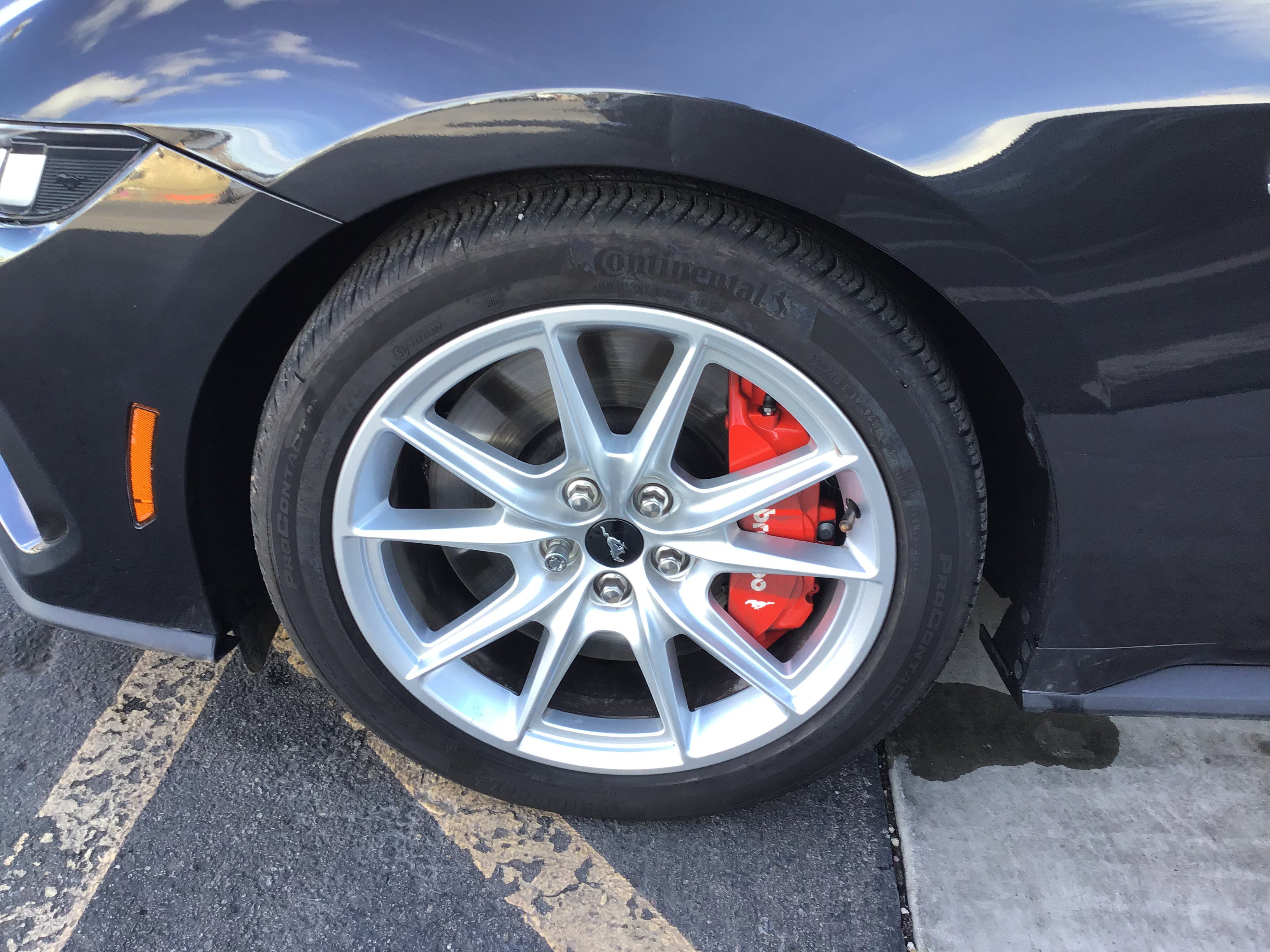 641a609956b5d5a69c6bc0de7d569060